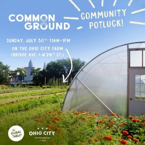 Ohio City Inc